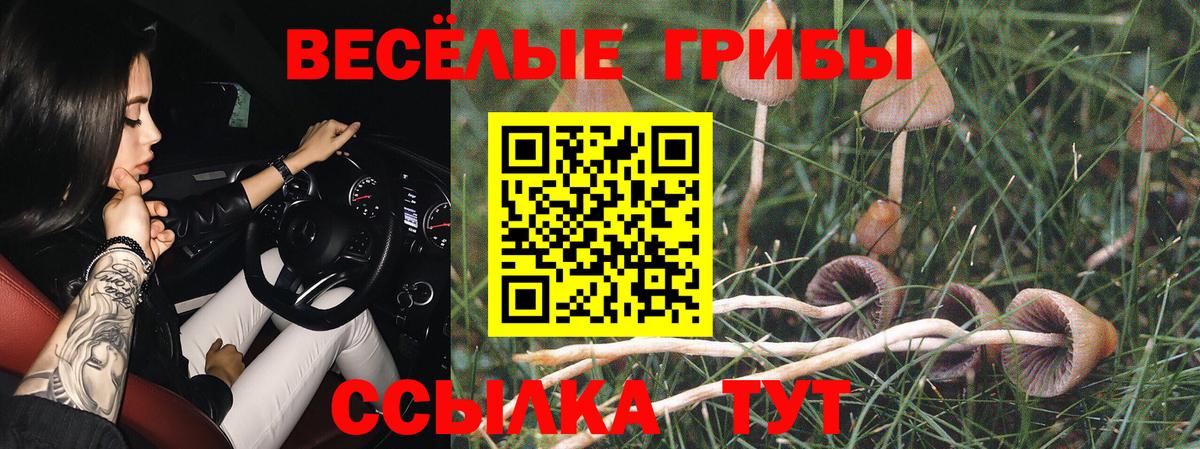Мурманск  Псилоцибиновые грибы Magic Shrooms  Галлюциногенные грибы мицелий  Вход с VPN 