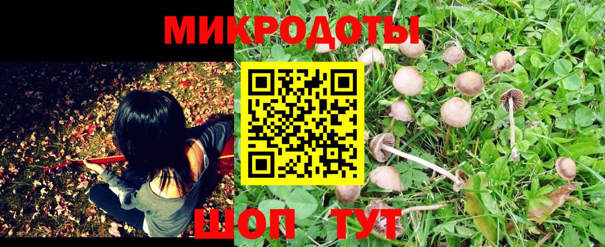 Псилоцибиновые грибы MAGIC MUSHROOMS Мурманск